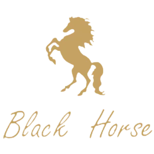 Black Horse — a brand of ETUMAX ENTERPRISE